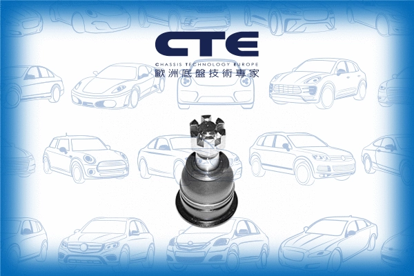 Ball Joint (CBJ06005)