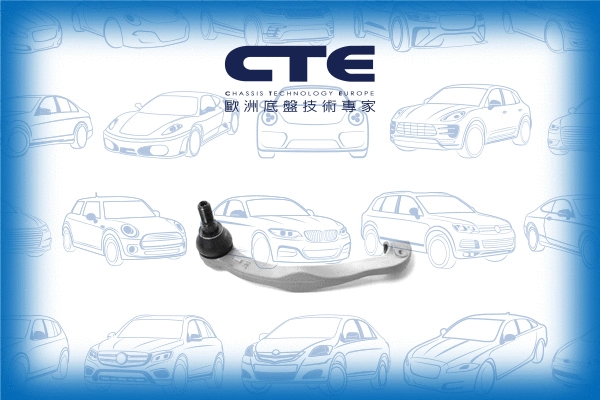 Tie Rod End (CTE20004L)