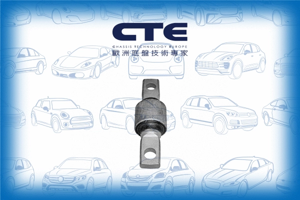 Mounting, control/trailing arm (CBH01017)