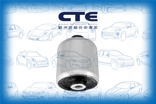 Mounting, control/trailing arm (CBH09045)