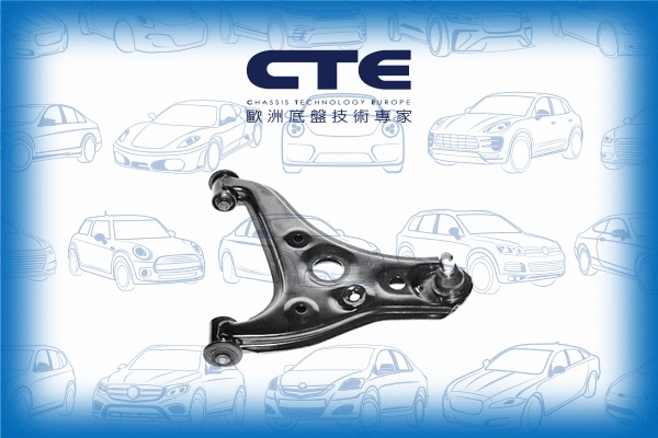 Control/Trailing Arm, wheel suspension (CS-305R)