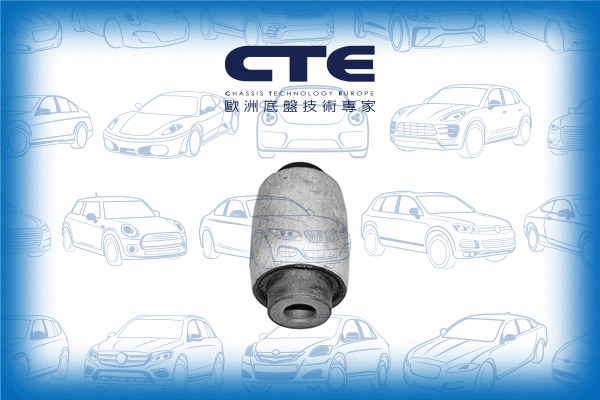 Mounting, control/trailing arm (CBH17017)
