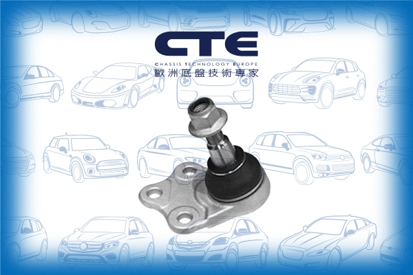 Ball Joint (CBJ31006)