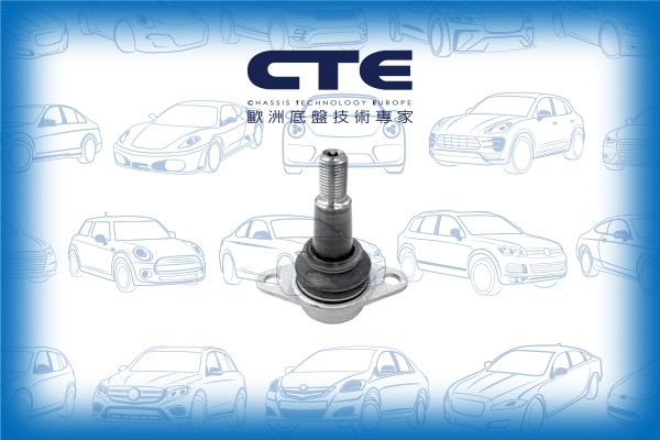 Ball Joint (CBJ09013)