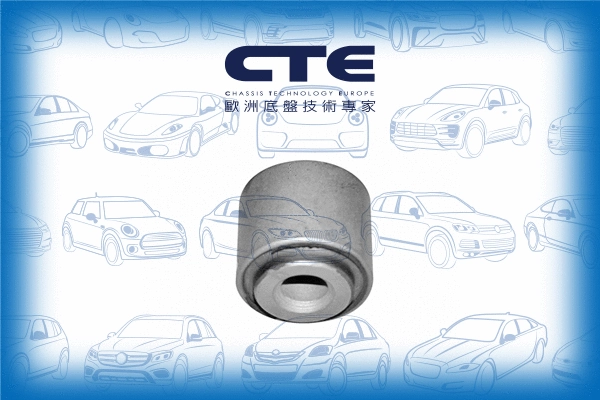 Mounting, control/trailing arm (CBH03020)