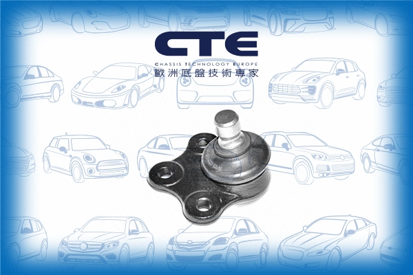 Ball Joint (CBJ03002)