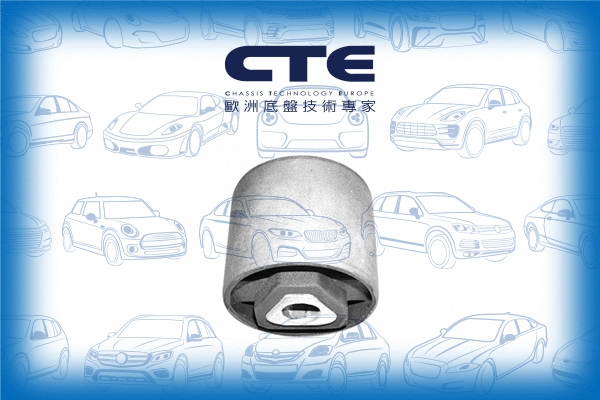 Mounting, control/trailing arm (CBH09004)