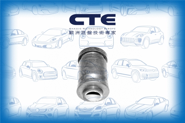 Mounting, control/trailing arm (CBH02023)