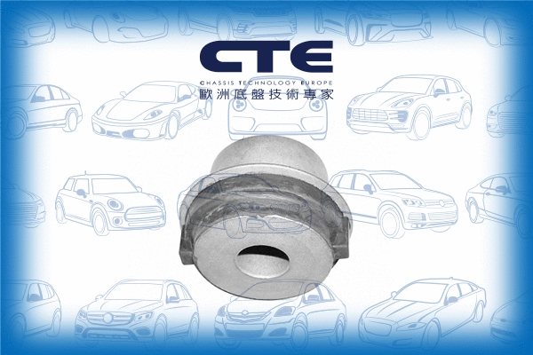 Mounting, control/trailing arm (CBH21005)