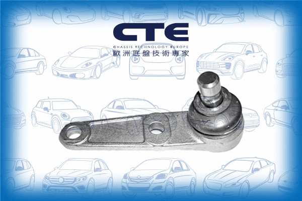 Ball Joint (CBJ03008)