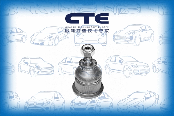 Ball Joint (CBJ09002)