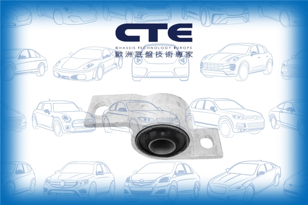 Mounting, control/trailing arm (CBH18003L)
