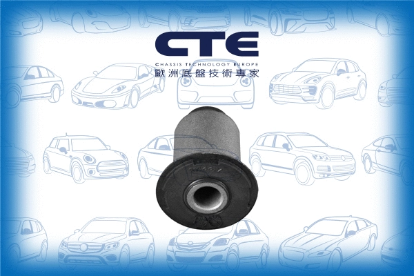 Mounting, control/trailing arm (CBH22018)