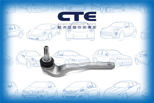 Tie Rod End (CTE21010L)