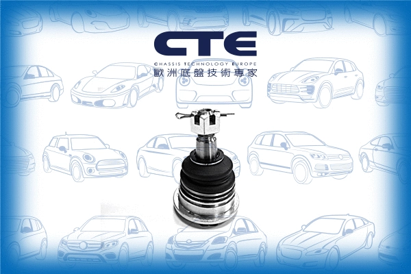 Ball Joint (CBJ06020)