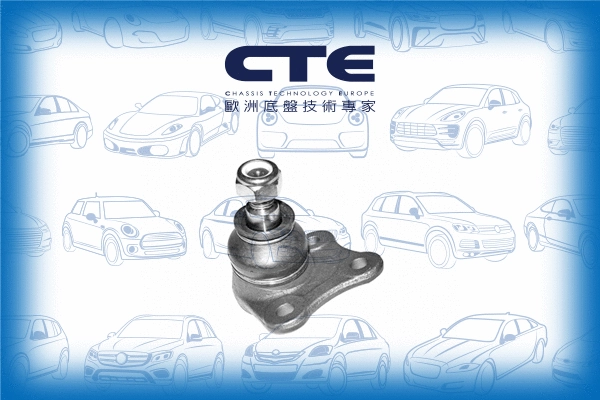 Ball Joint (CBJ19008L)
