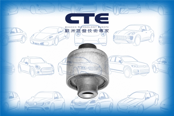 Mounting, control/trailing arm (CBH19002)