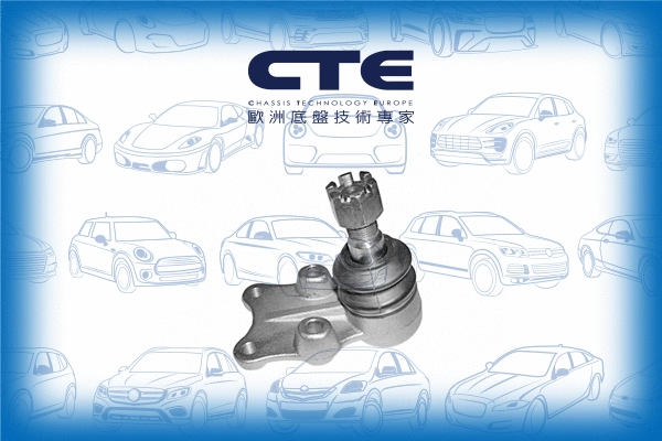Ball Joint (CBJ08002)