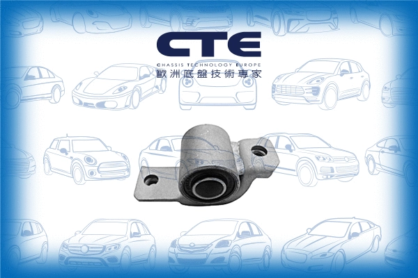 Mounting, control/trailing arm (CBH22013L)