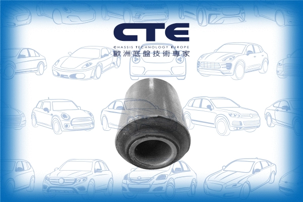 Mounting, control/trailing arm (CBH06042)