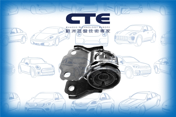 Mounting, control/trailing arm (CBH17029L)