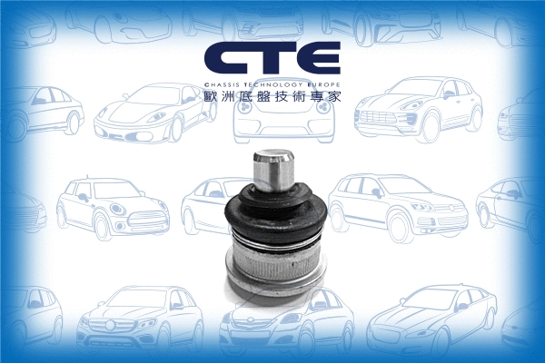 Ball Joint (CBJ16008)