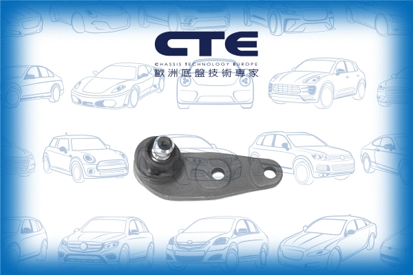Ball Joint (CBJ19004)