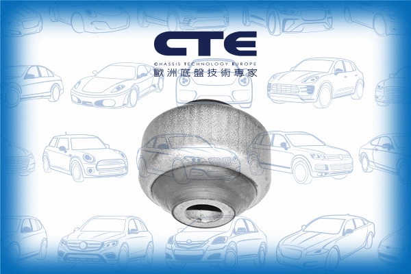 Mounting, control/trailing arm (CBH19005)