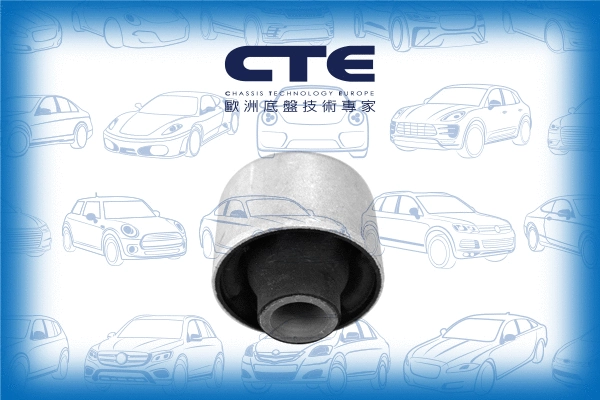 Mounting, control/trailing arm (CBH21024)