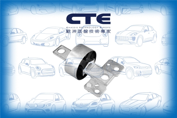 Mounting, control/trailing arm (CBH17041R)