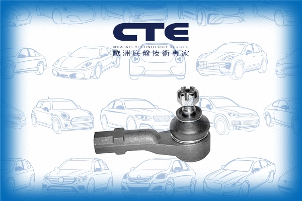Tie Rod End (CTE03004)