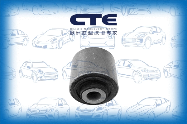 Mounting, control/trailing arm (CBH21019)