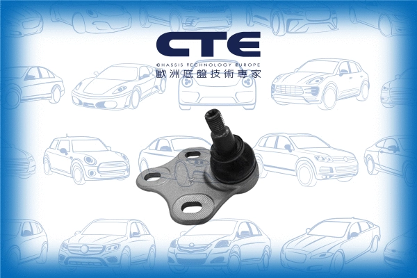 Ball Joint (CBJ19010R)