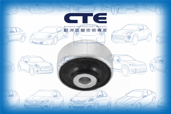 Mounting, control/trailing arm (CBH19029)