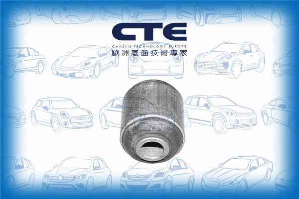 Mounting, control/trailing arm (CBH01016)