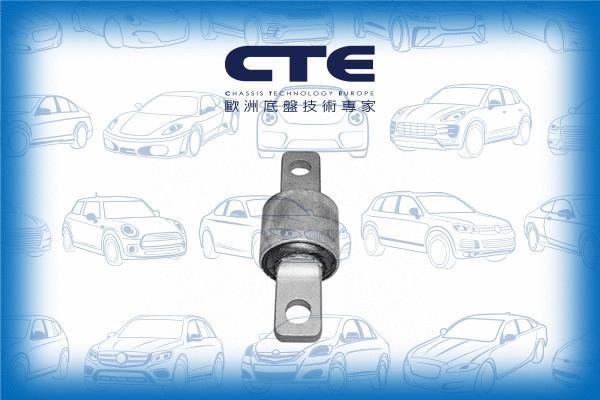 Mounting, control/trailing arm (CBH05008)
