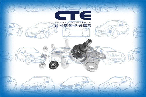 Ball Joint (CBJ19010LA)