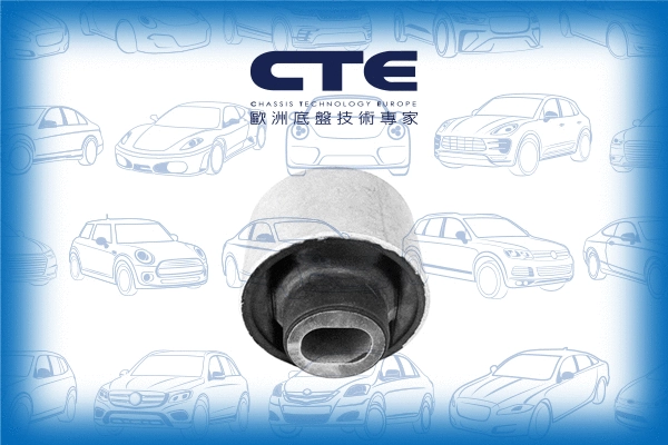 Mounting, control/trailing arm (CBH21021)