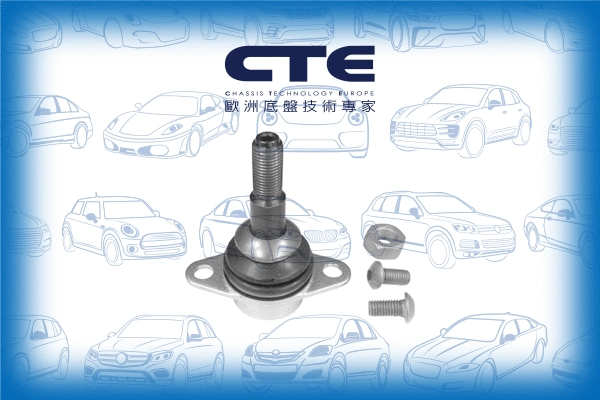 Ball Joint (CBJ09009A)