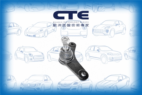 Ball Joint (CBJ09004L)
