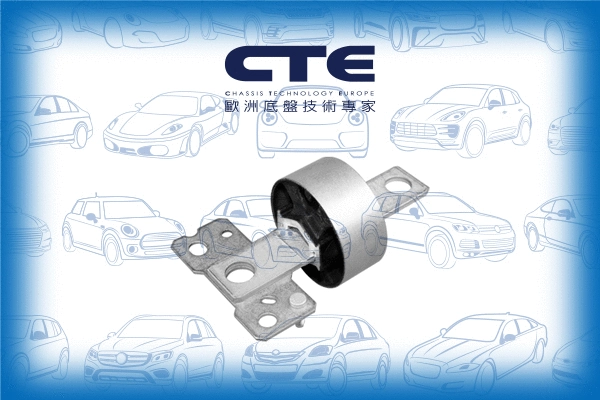 Mounting, control/trailing arm (CBH17041L)