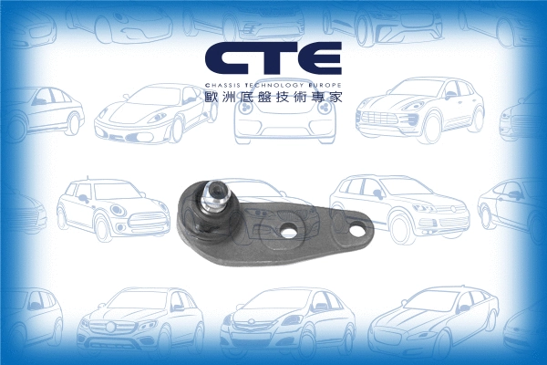 Ball Joint (CBJ19002)