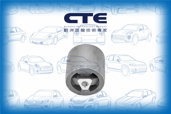 Mounting, control/trailing arm (CBH09016)
