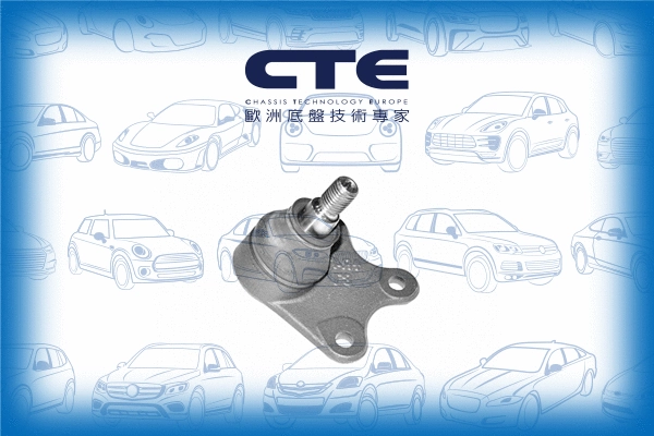 Ball Joint (CBJ20006L)