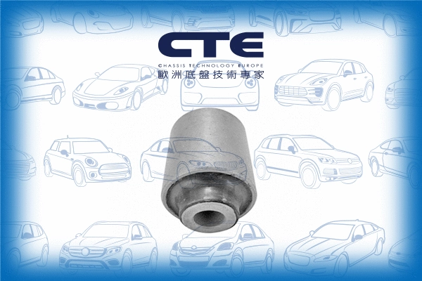 Mounting, control/trailing arm (CBH03047)