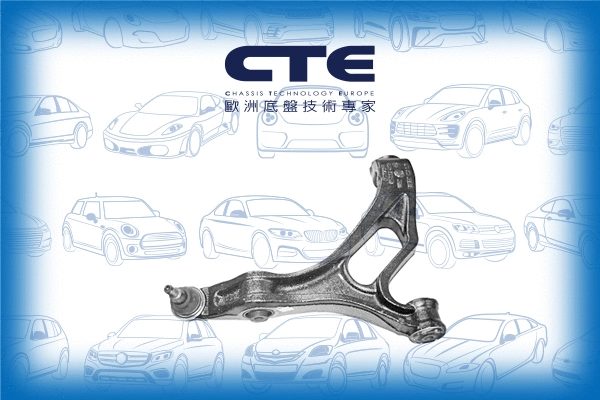 Control/Trailing Arm, wheel suspension (CS-2013L)