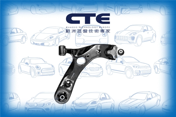 Control/Trailing Arm, wheel suspension (CS-256R)