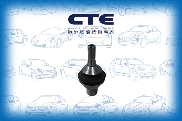 Ball Joint (CBJ21011)