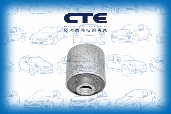 Mounting, control/trailing arm (CBH05011)