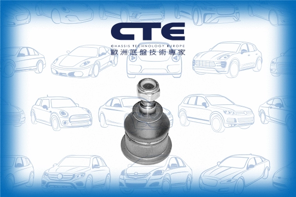 Ball Joint (CBJ20005)